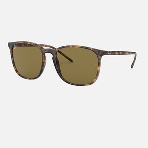 Tortoise Frame Ray Ban Sunglasses